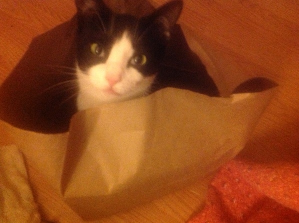 " I'll sit in the bag. Works every time."
